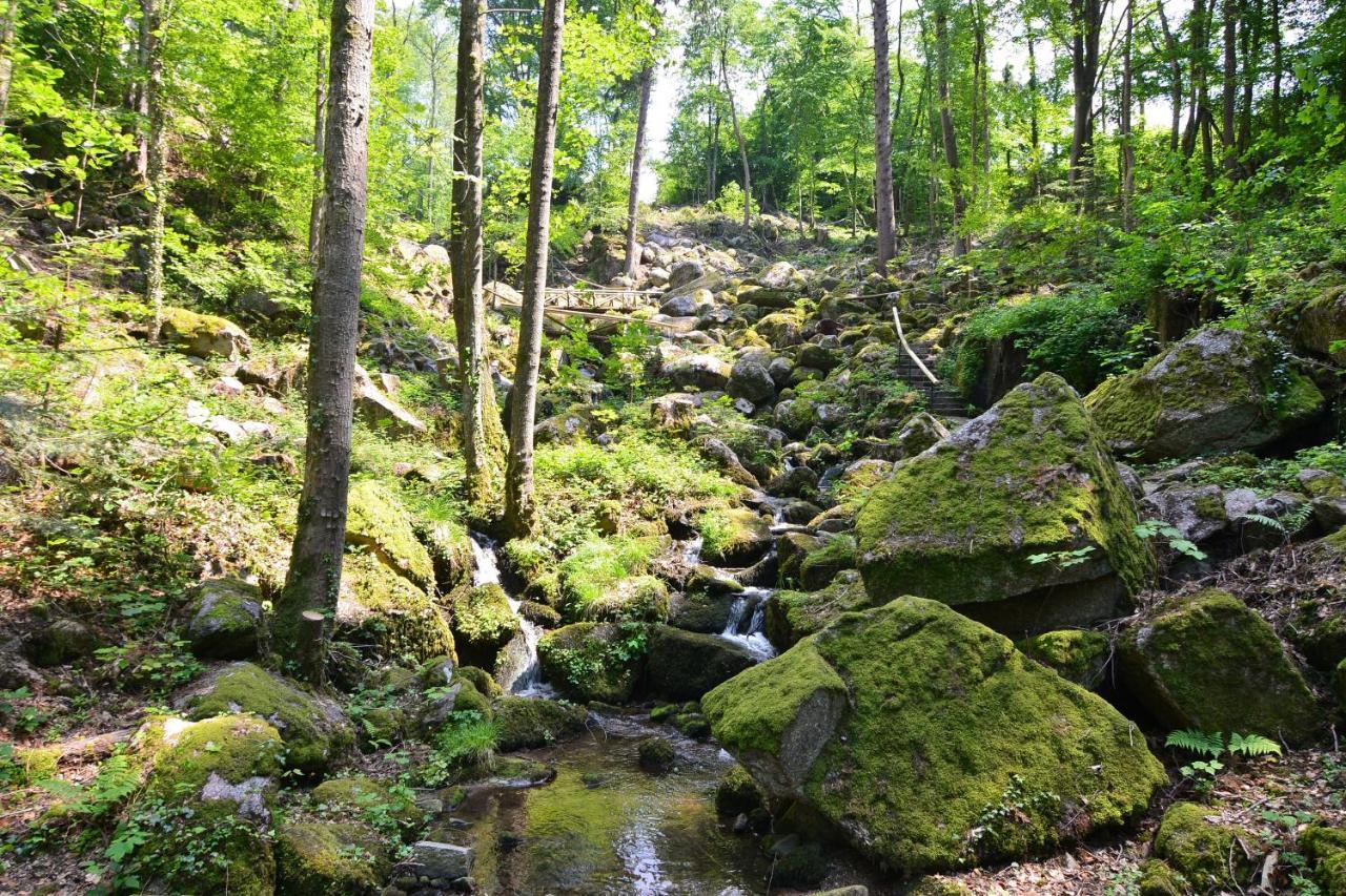 RelaxHotel Tannenhof Sasbachwalden Exteriör bild