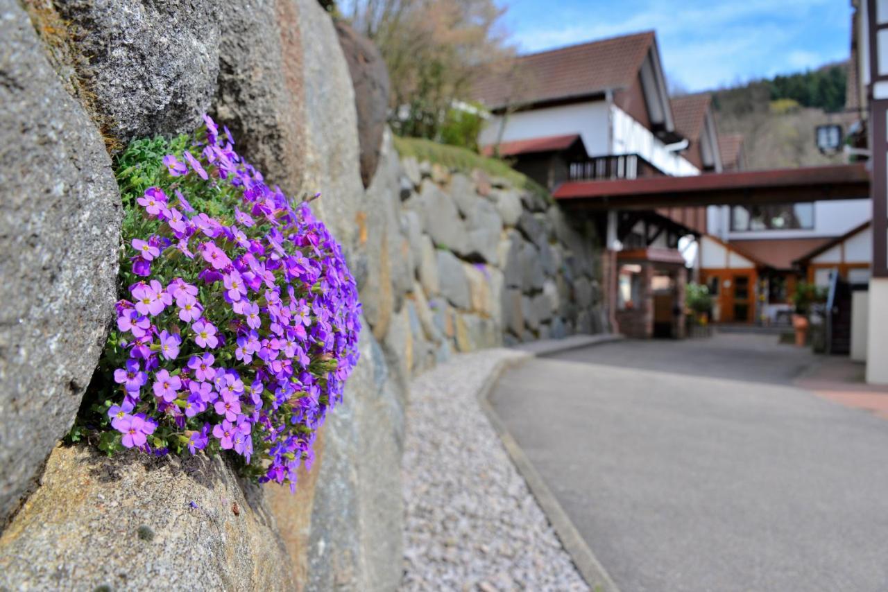 RelaxHotel Tannenhof Sasbachwalden Exteriör bild