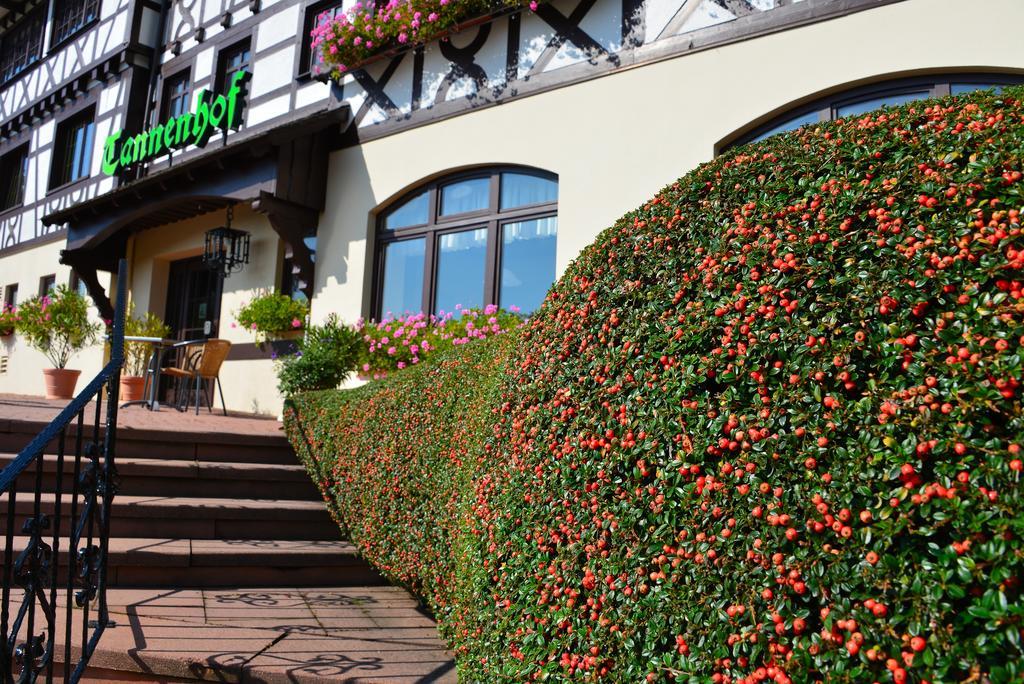 RelaxHotel Tannenhof Sasbachwalden Exteriör bild